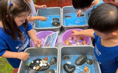 The Value of Authentic Learning in Kindergarten